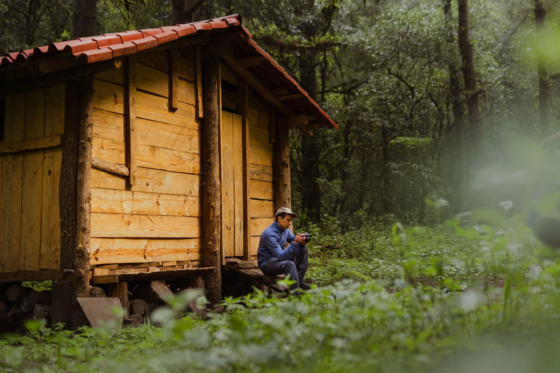 Chalet de Jardin : Bien Choisir Son Abris en Bois
